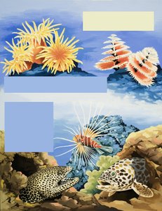 Flore et faune sous-marines non identifiées