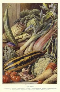 Légumes