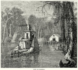 Vue en Floride (gravure) - English School