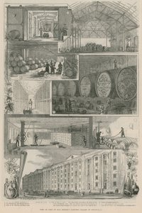 Vue d