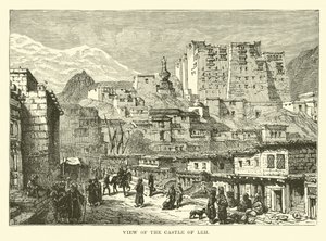 Vue du château de Leh - English School