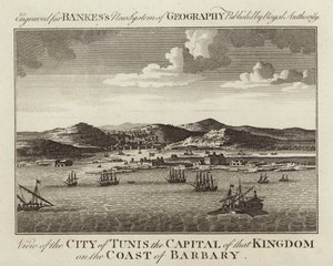 Vue de la ville de Tunis - English School