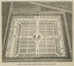 Vue du nouveau marché aux bestiaux près d