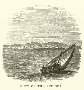 Vue sur la mer Rouge