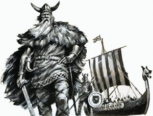 Viking et drakkar