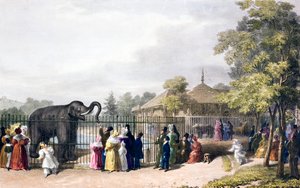 Visiteurs au zoo de Londres, Regent