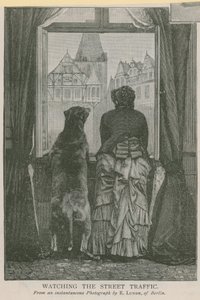 Observer le trafic de rue - English School