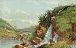 Cascade et bétail - English School