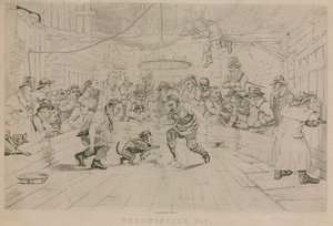 Westminster Pit