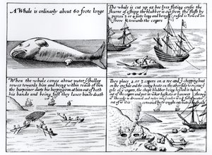 Chasse à la baleine à Spitzbergen en 1611