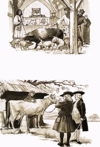 Quand les animaux étaient jugés en cour