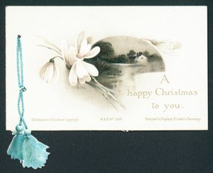 Perce-neige et maison au bord du lac, carte de Noël