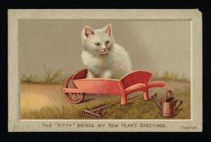 Chat blanc dans une brouette, carte de vœux du Nouvel An (chromolithographie) - English School