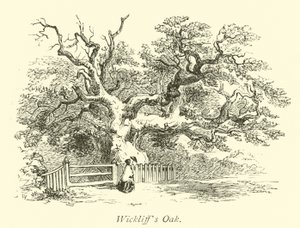 Chêne de Wickliff