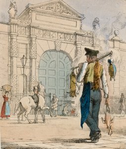 Canard sauvage, lapin et volaille