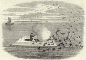 Chasse au canard sauvage sur le Potomac
