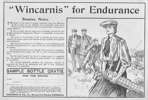 Wincarnis pour l