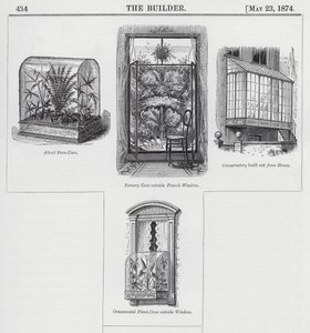 Jardinage de fenêtre (gravure) - English School