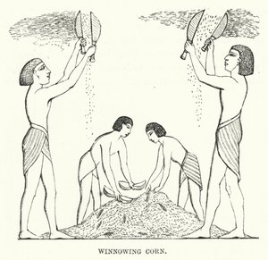 Vannage du blé (gravure) - English School