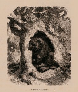 Winters Quarters (gravure) - English School