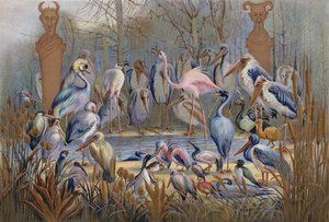 Sage ou autrement, une étude de la vie des oiseaux
