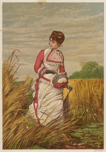 Femme en infraction dans un champ de maïs - English School