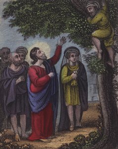 Zachée monta dans l