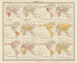 Zoogéographie : Mammalia, Ungulata