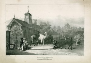 Jardins zoologiques, Regents Park - English School