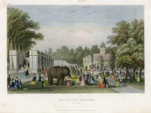 Jardins zoologiques, Regents Park