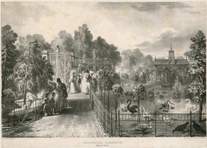 Jardins zoologiques, Regents Park