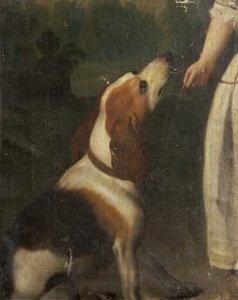 Un chien de chasse