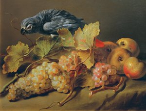Nature morte avec perroquet et raisins - Erasmus von Engert