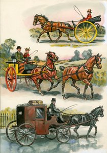 Chevaux