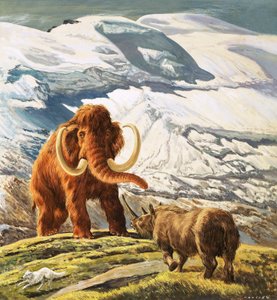 Le mammouth rencontre le rhinocéros (gouache sur papier)
