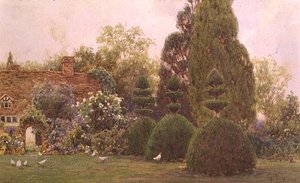 Poules dans un jardin