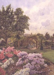 Rhododendrons