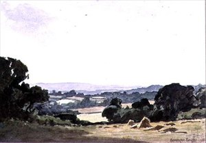 Weald du Sussex