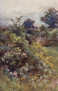 Le Règne de la rose
