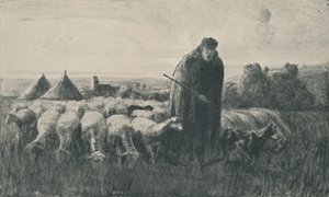 Le Berger de Picardie, 1919