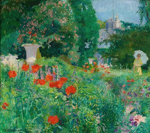 Élégant dans un champ de coquelicots