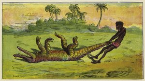 Homme Ashanti traînant un crocodile endormi par la queue