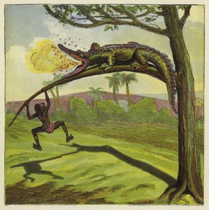 Crocodile