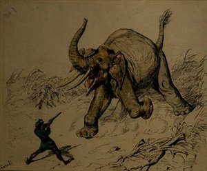 Chasse à l