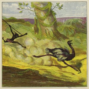 Homme chassant une autruche