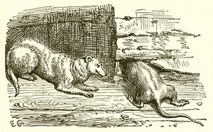 La Souris et la Belette