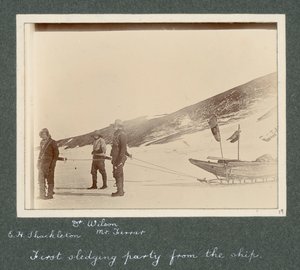 E H Shackleton, Dr Edward Wilson et M. Hartley Ferrar (le Géologue) attelés au traîneau. De l