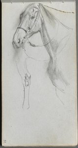 Carnet de croquis, page 55 : Étude pour un cheval