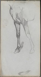 Carnet de croquis, page 66 : Étude d