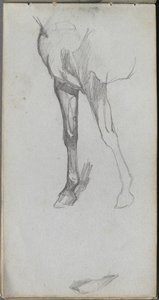 Carnet de croquis, page 66 : Étude d